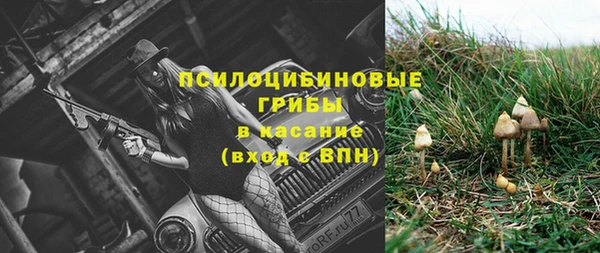 твердый Алзамай