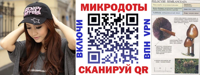 Галлюциногенные грибы GOLDEN TEACHER  KRAKEN рабочий сайт  Гаджиево 